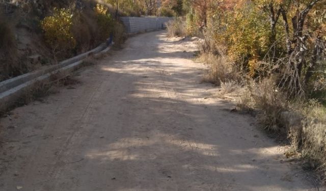 Güllüce köyünde yol ve tapu sorunu çözülemiyor