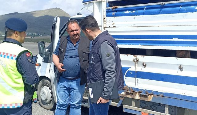 Kurban Bayramı Öncesi Hayvan Hareketliliğine Sıkı Denetim