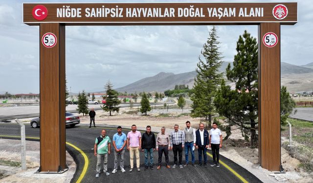 Niğde’de Sahipsiz Hayvanlar İçin Güvenli Yaşam Alanı Oluşturuluyor