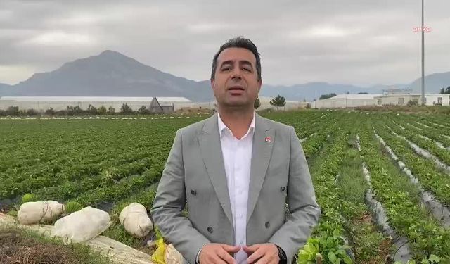 Savaşmadan Bu Kadar Kaybeden Var mı?