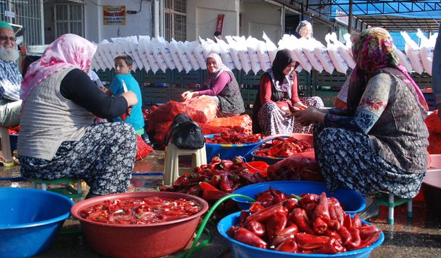 Niğde’de Ev Hanımlarını Salçalık Telaşı Sardı