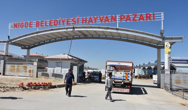 Niğde Dahil 24 İlde Hayvan Pazarları Yeniden Açıldı