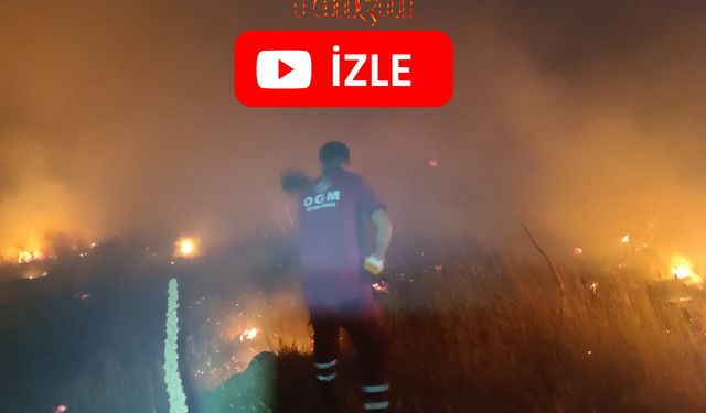 Koyunlu ve Fesleğen Köylerinin Yüksek Kesimlerinde Yangın
