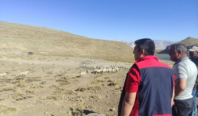 Niğde’de Küçükbaş Hayvancılığın Geliştirilmesine Yönelik Ziyaret