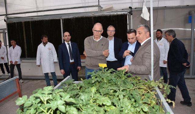 Hollanda Heyeti Patates Araştırma Enstitüsü’nü Ziyaret Etti