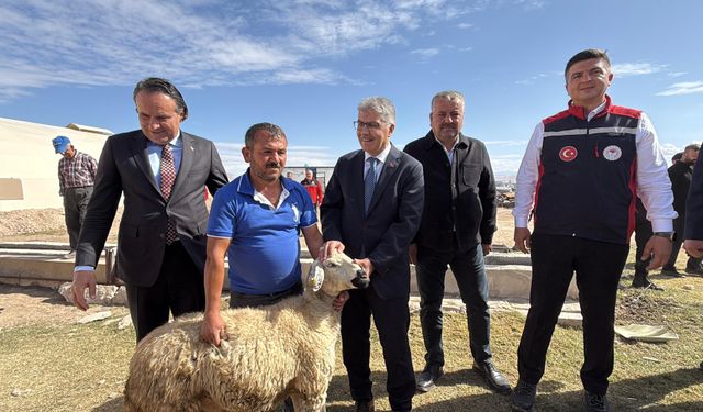 Vali Çelik: Devlet-Millet İş Birliğiyle Üreticilerin Yaralarını Sarıyoruz