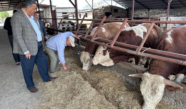 Gürer: “İthalat et fiyatlarını düşürmedi, artış sürüyor”
