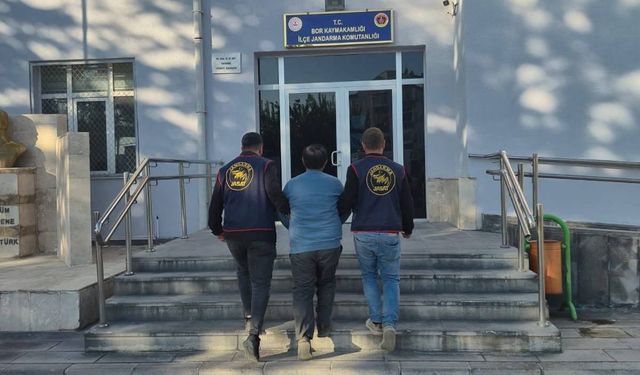 Bu nasıl iğrençlik... Ölmüş İnsanların Bedeninden Müstehcen Yayın