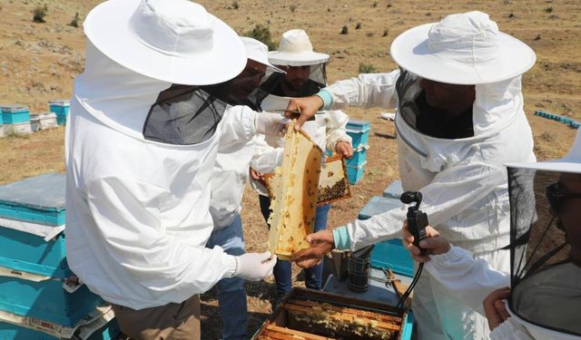 Niğde Geven Balı Coğrafi İşaretle Tescillendi