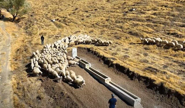 Beyağıl Köyü Meralarında Hayvan İçme Suyu Alanı oluşturuldu