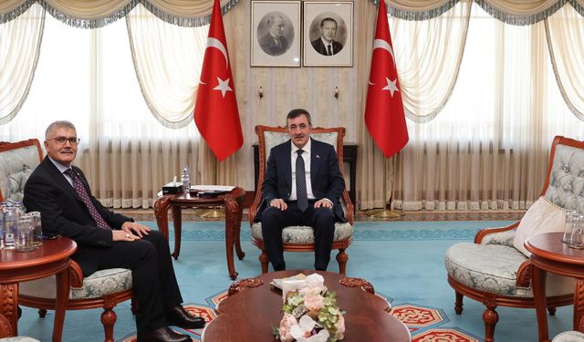 Bingöl Valisi olan Vali Çelik, Bingöllü Cumhurbaşkanı Yardımcısı Cevdet Yılmaz'ı Ziyaret Etti