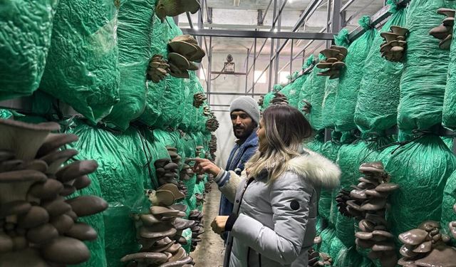 Bor İlçe Tarım’dan Kızılca Köyü’ndeki Mantar Üretim Tesisine İnceleme