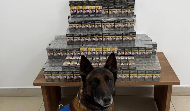 Niğde’de Yolcu Otobüsünde 800 Paket Kaçak Sigara Ele Geçirildi