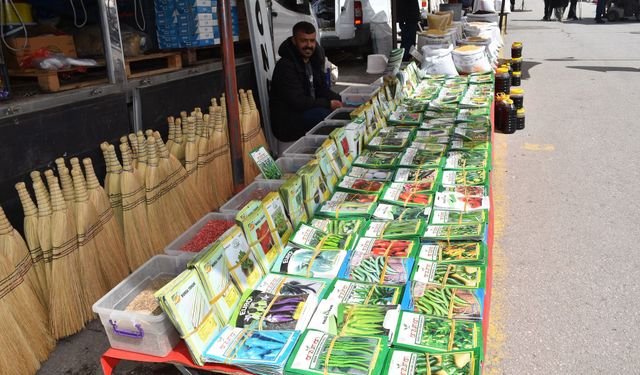 Sebze Tohumları Tezgahlarda Yerini Aldı