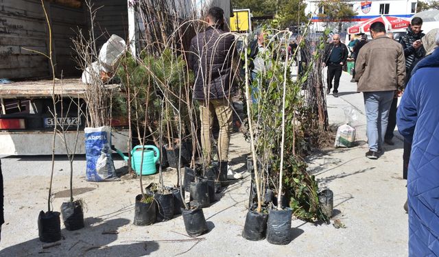 Baharla Birlikte Fidan Dikimi ve Satışları Başladı