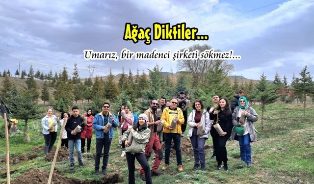 Niğde’de Çam Fidanlarını Toprakla Buluşturdular