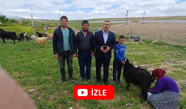 150 Metre Uzakta Elektrik Var, Bu Aile Karanlıkta Yaşıyor