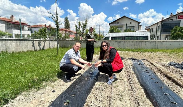Bor Gençlik Merkezi Hobi Bahçesi’nde Gençler Doğayla Buluştu