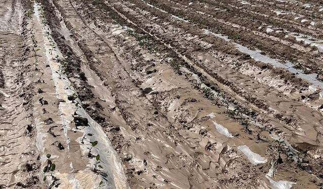 Niğde’de Sel ve Dolu Afeti: 11 Bin Dekarlık Tarım Alanı Zarar Gördü