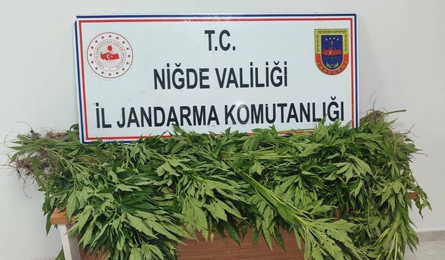 Niğde’de Uyuşturucu Operasyonu: Esrar ve Kenevir Ele Geçirildi