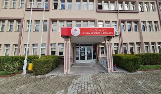 Orman Sınırlarındaki Tapu Sorununa Yeni Düzenleme