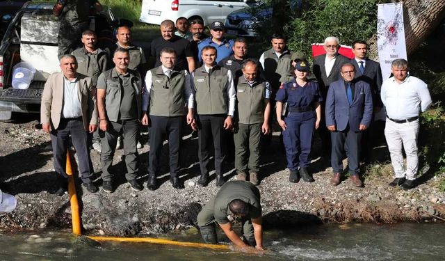 Ecemiş Çayı'na 15 Bin Kırmızı Benekli Alabalık Yavrusu Bırakıldı