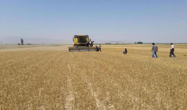 Niğde’de Hububat Hasadı Başladı, Biçerdöver Denetimleri Aralıksız Sürüyor