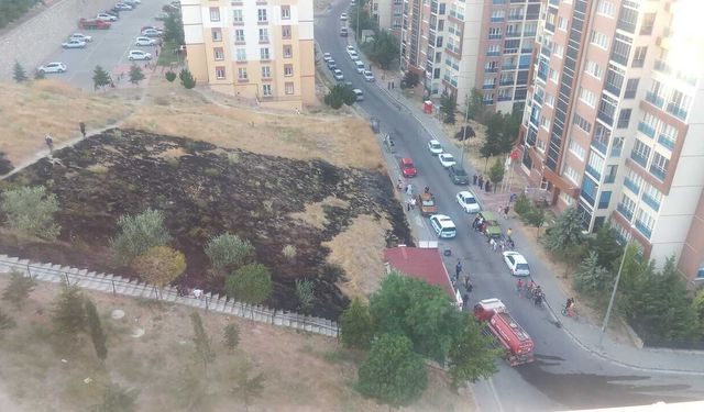Niğde'de Kentsel Dönüşüm Alanında Ot Yangını Paniği