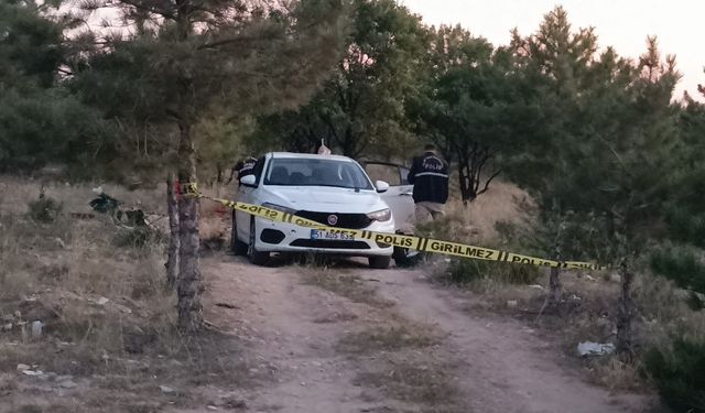 Ormanda silahlı kavgada: 1 yaralı, Şüpheli Kaçarken TIR'ın Altında Kaldı