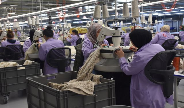 Haziran Ayında Niğde'de İŞKUR Aracılığıyla 1.293 Kişi İşe Yerleştirildi