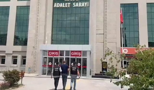 Niğde’de Uyuşturucu Operasyonu: 170 Kök Hint Keneviri Ele Geçirildi