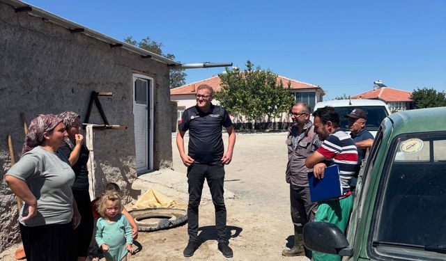 Bor’da Şap Aşısı Seferberliği