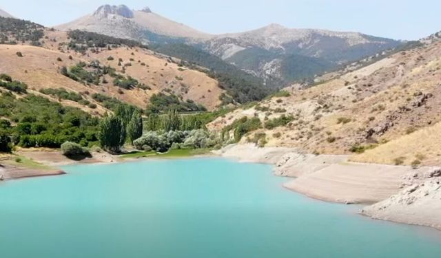 Su Tarlaya Ulaştı, Emirler’de Kiraz Verimi Arttı