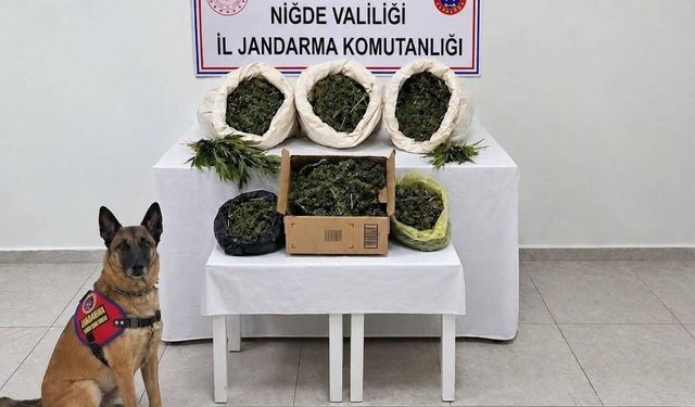 Niğde Fesleğen Köyü’nde Jandarma Operasyonu