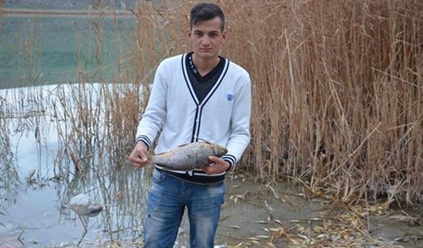 Yaklaşık 50 ton civarında balığın telef olduğu Narlı Göl'de ölümler bir hafta önce başladı ve hala devam ediyor. Narlı Göl etrafında bulunan termal otellerin gölü kuruttuğu iddia ediliyor. Gölün yanında bulunan sondaj deposundan çıkan sıcak suların termal oteller tarafından kullanıldığı, bu suları taşımak için kullanılan boruları temizlemek için ise asit kullanıldığı ve balıkların öldüğü ileri sürülüyor.