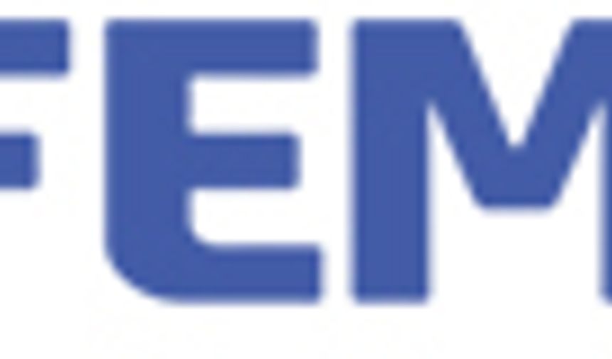 Femaş Group Metal Sanayi ve Ticaret A.Ş.