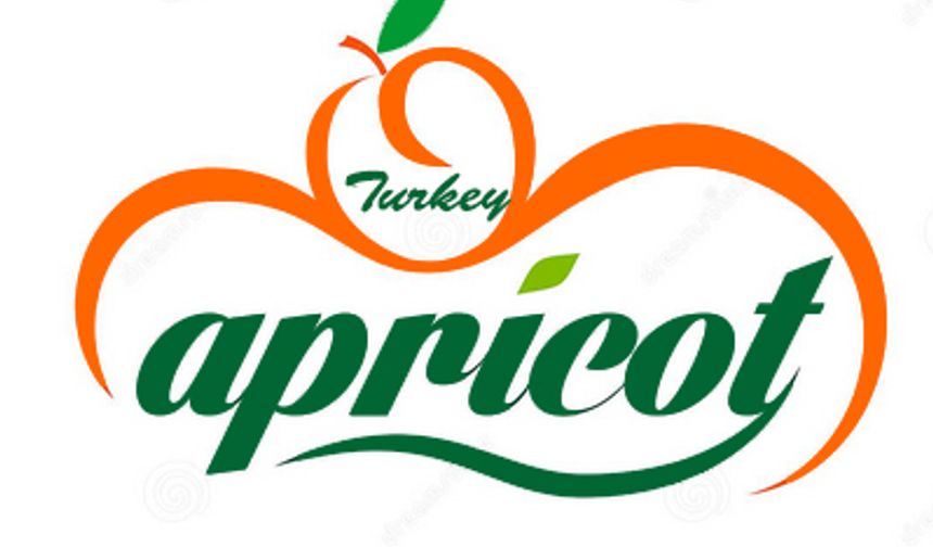 Dried Apricots Export Service Malatya Turkey