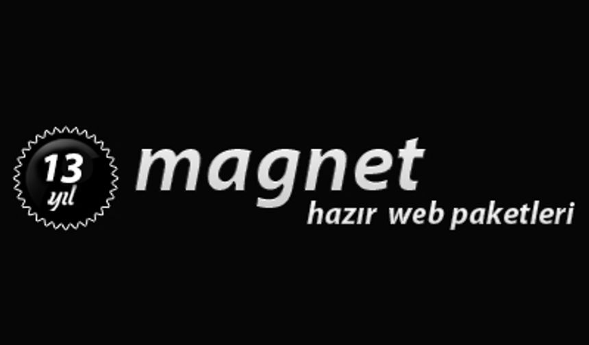 Adana Mag-Net Web Tasarım