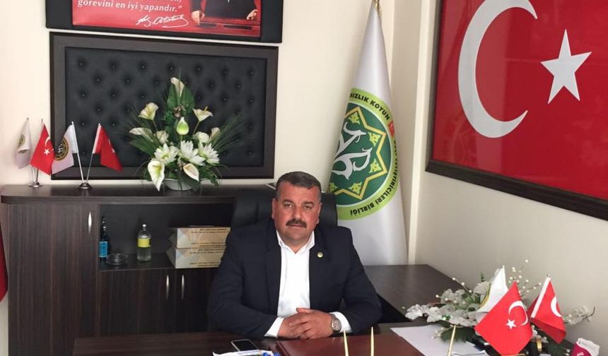 Kurban fiyatları bu yıl cep yakacak gibi