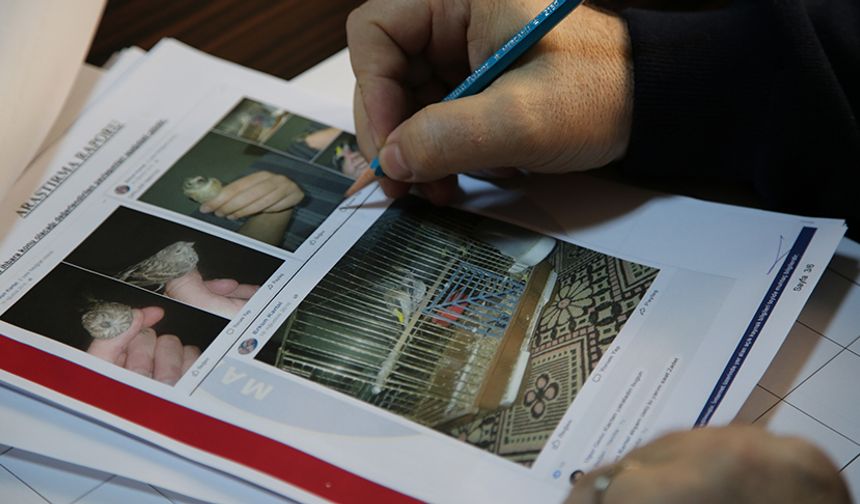 Avcılara Sosyal Ağlar Üzerinden Ceza