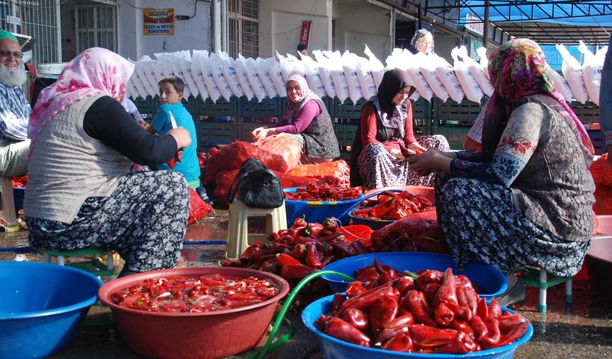 Niğde’de organik salça sezonu başladı