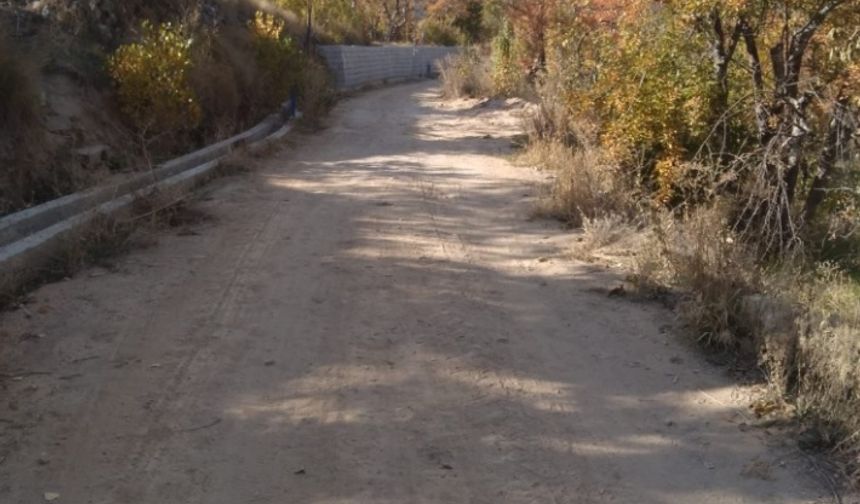 Güllüce köyünde yol ve tapu sorunu çözülemiyor