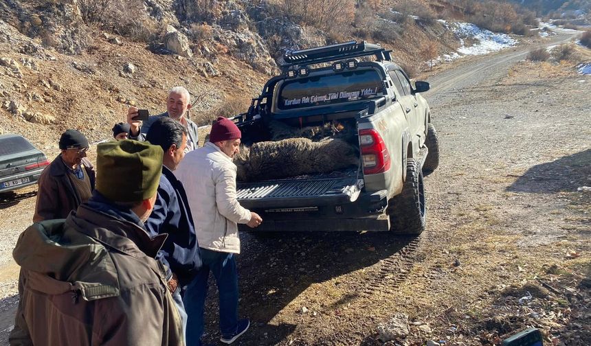 Dündarlı Beldesinde mücadele amaçlı domuz sürek avı yapıldı