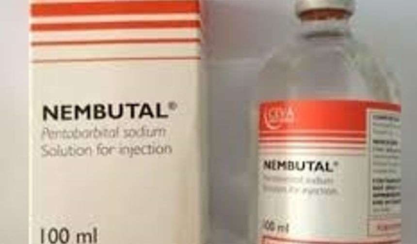 Yaşamaktan yoruldunuz mu? Nembutal alın.