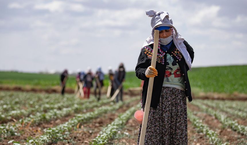 Gürer: “Çiftçilerin kredi borcu 936 milyara çıktı”