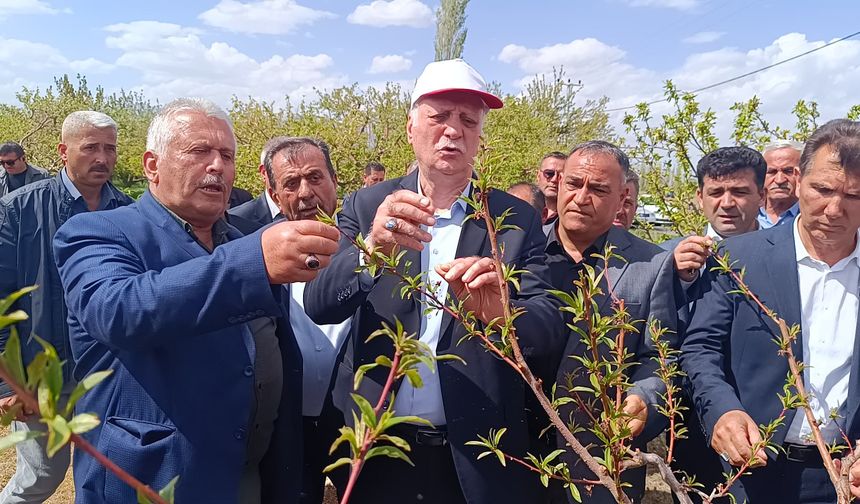 Tarihimizin En Büyük Zirai Afetlerinden Biriyle Karşı Karşıyayız