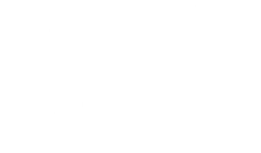 Hollywood Smile Turkey