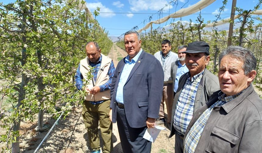 Gürer: “Beş ilde elmada büyük kayıp”