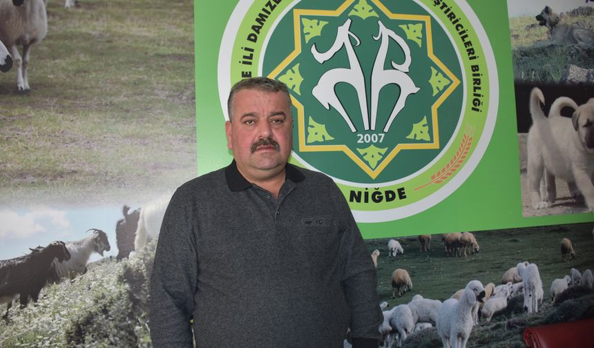 Niğde'de Küçükbaş Hayvan Yetiştiricilerine Destek Ödemesi