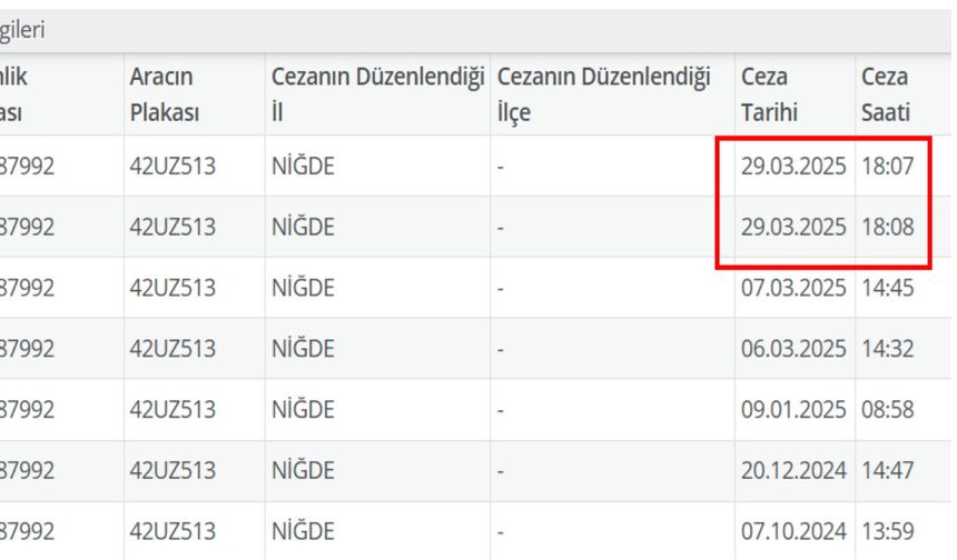 Niğde'de her saniyede bir ceza